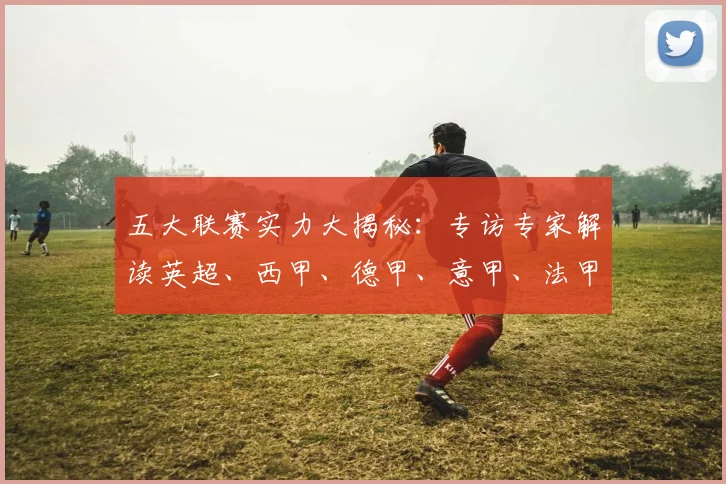 五大联赛实力大揭秘:专访专家解读英超、西甲、德甲、意甲、法甲最新强弱排名